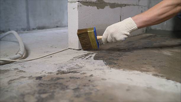 24/7 Emergency Wet Basement Repair experts in Newport, KY